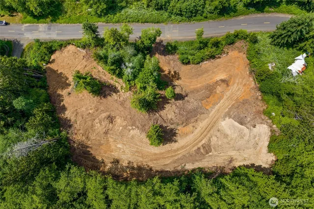 an aerial view of a house with a yard and greenery