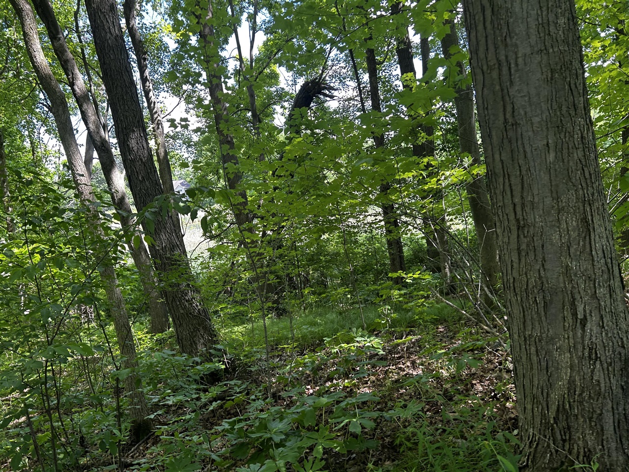 6670 Tower Lake Road Northeast Belding, MI 48809 - Photo 37 of 52