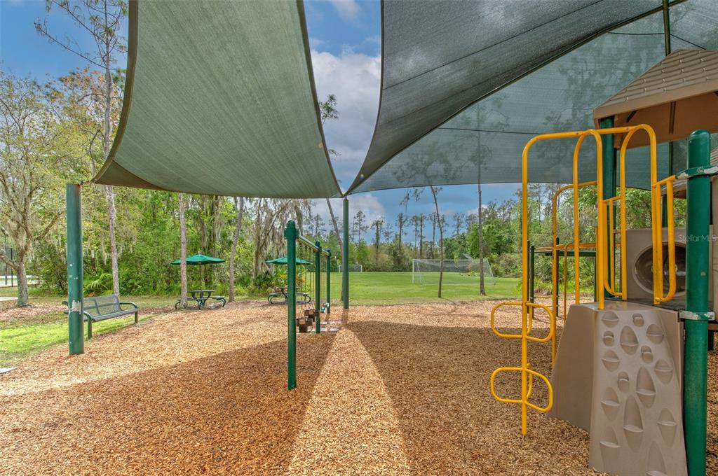 27601 Baybrook Loop Wesley Chapel, FL 33544 - Photo 28 of 34