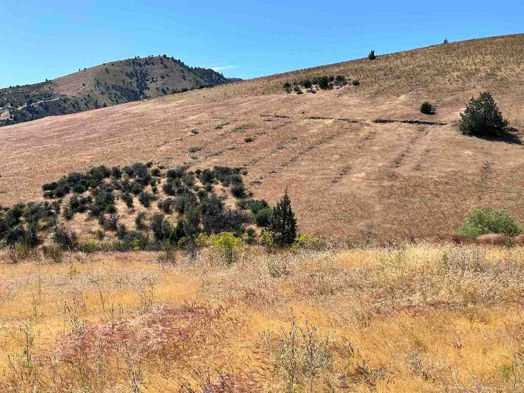 4435 Anderson Grade Road Yreka, CA 96097 - Photo 8 of 40 Gallery Image 8