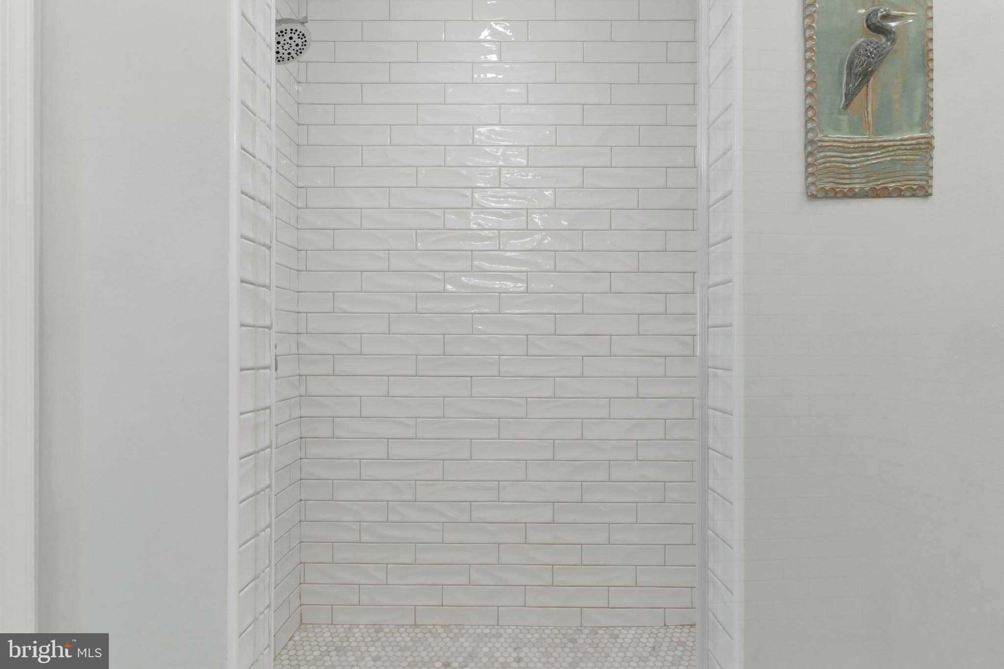 754 Bellefield Road, Unit 103 Solomons, MD 20629 - Photo 22 of 62 a bathroom with a shower