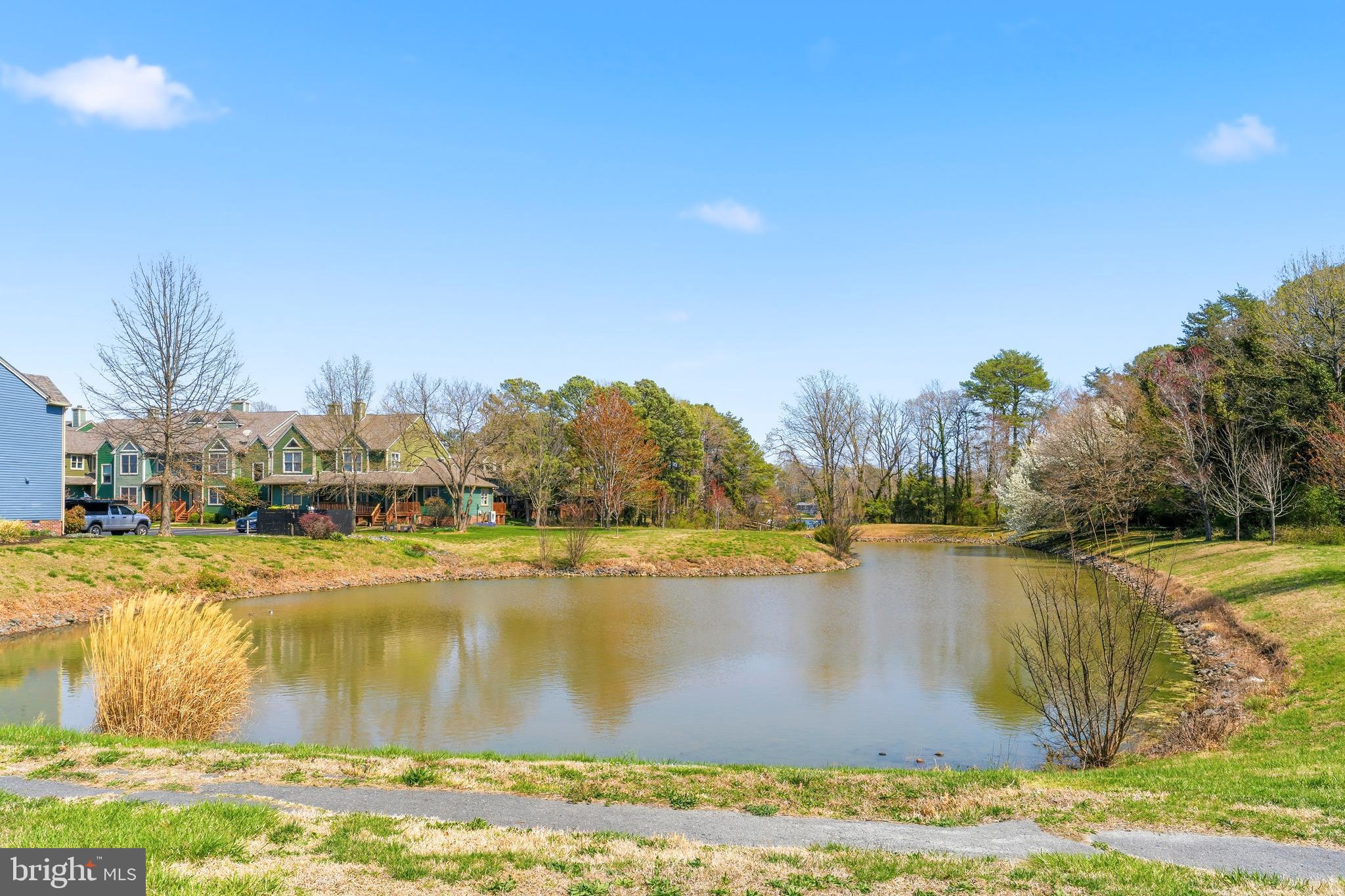 754 Bellefield Road, Unit 103 Solomons, MD 20629 - Photo 43 of 62 a view of a lake with houses in the back