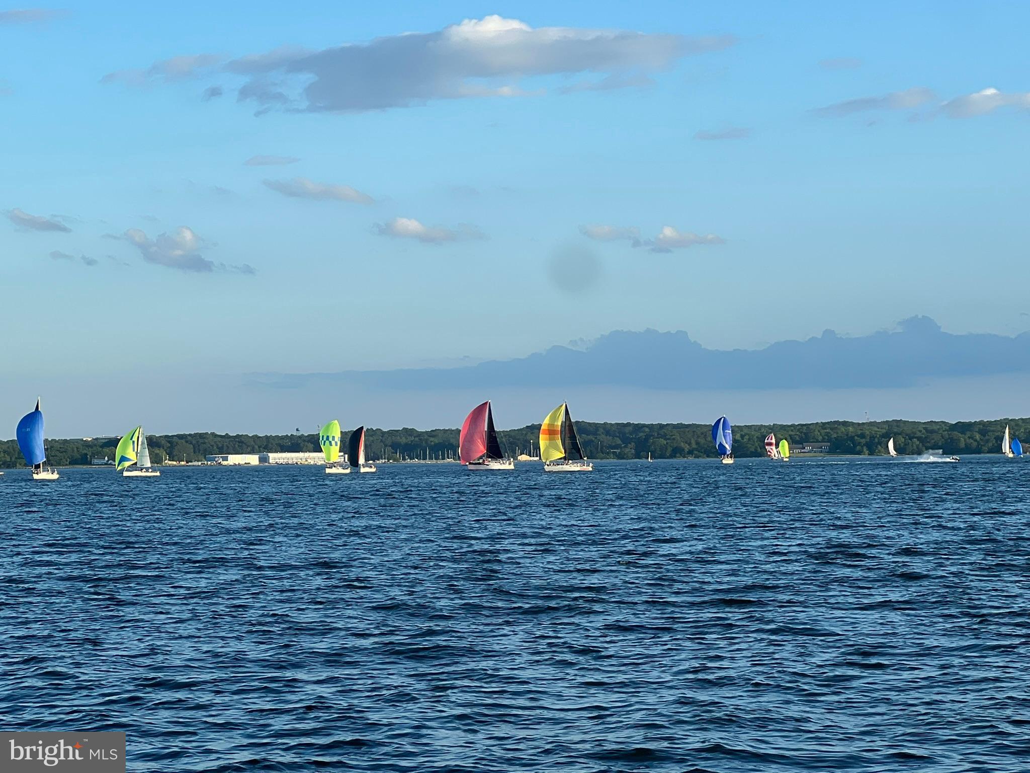 754 Bellefield Road, Unit 103 Solomons, MD 20629 - Photo 58 of 62 View from Solomons Boardwalk of Sailboat Racing