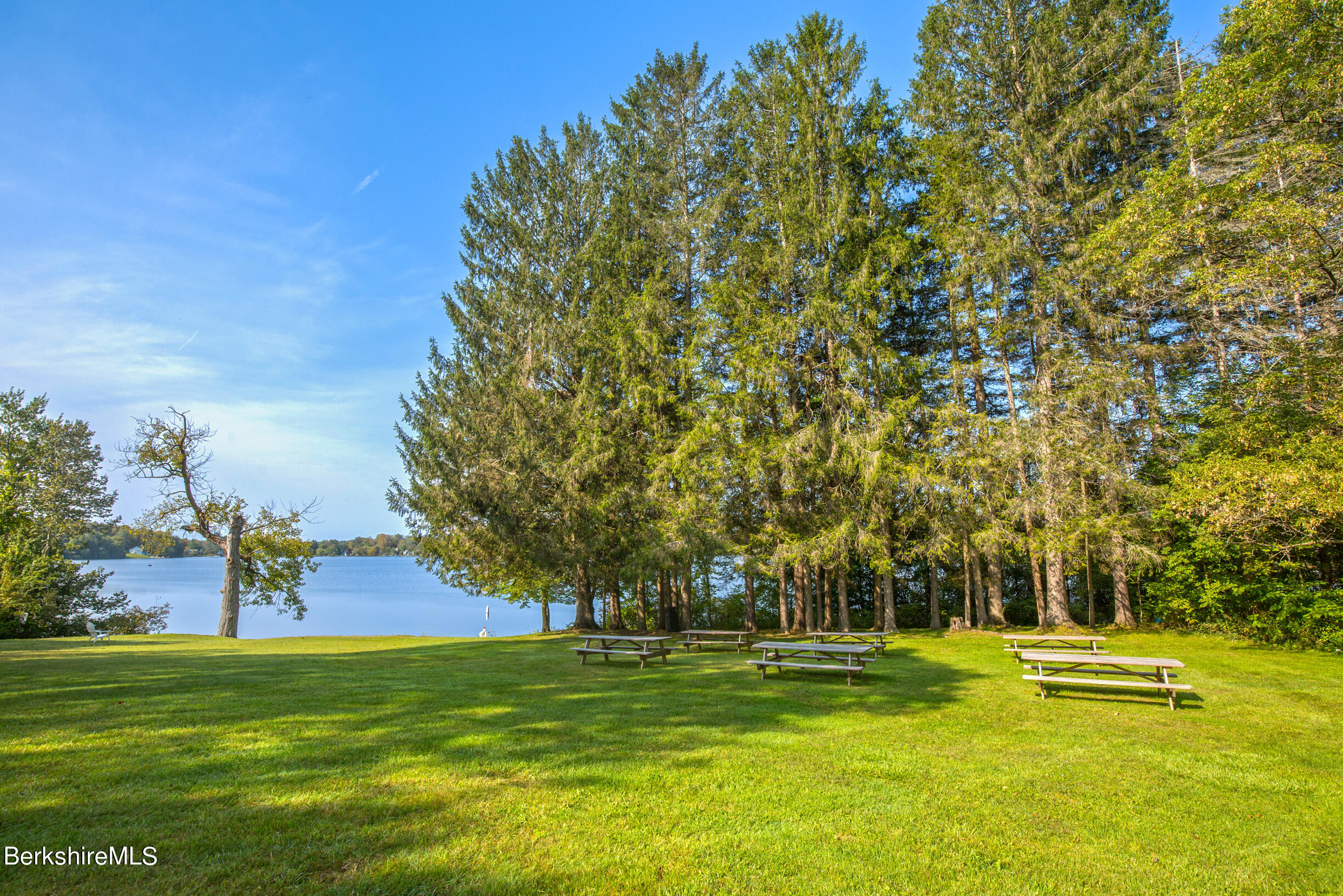 1136 Barker Road, Unit 48 Pittsfield, MA 01201 - Photo 14 of 53 a yard with lots of trees and plants