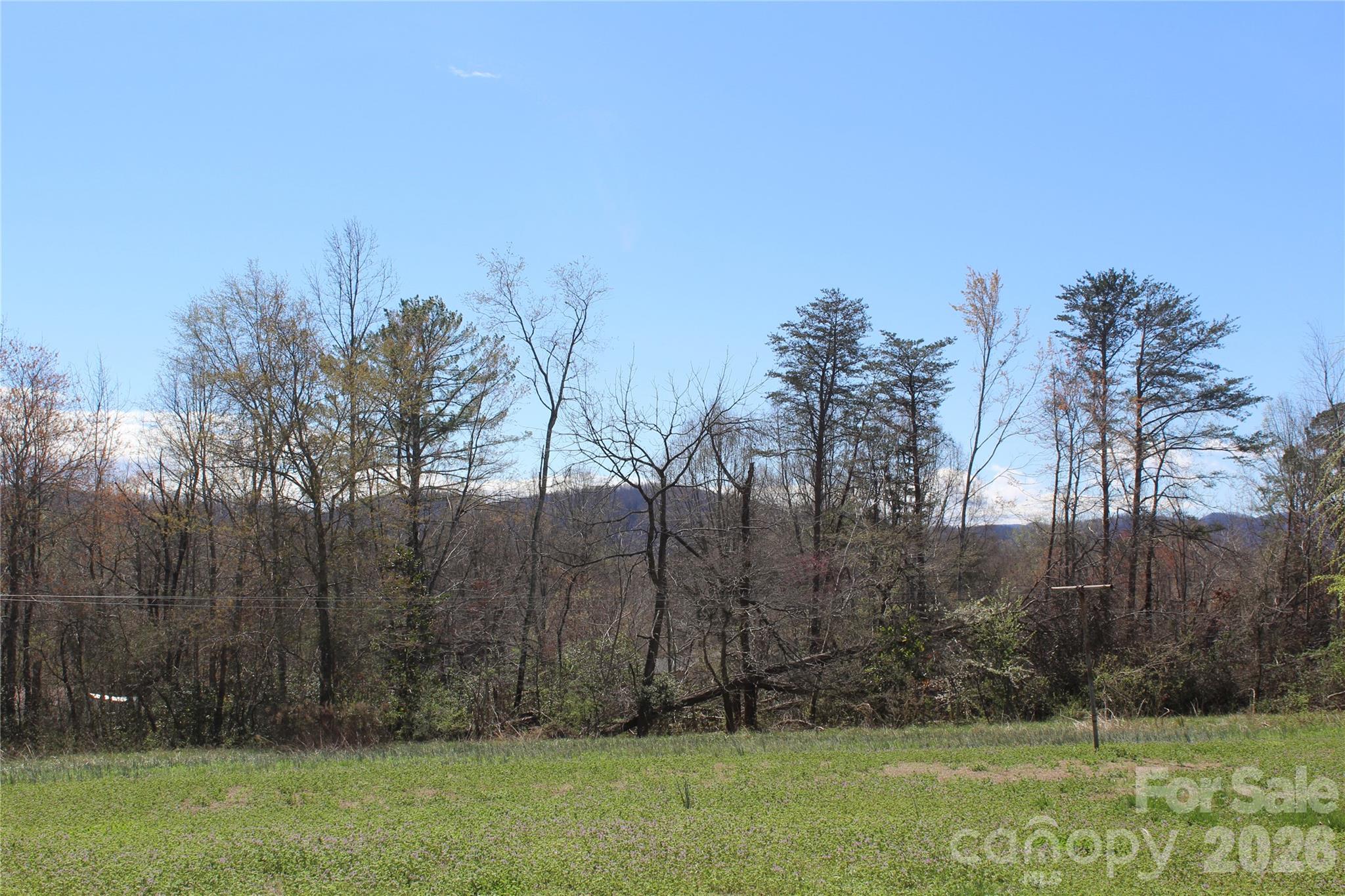 316 Drexel Road Morganton, NC 28655 - Photo 7 of 22