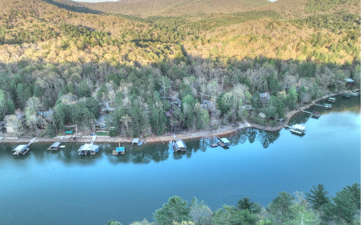 61 Tilley Bend Lane Blue Ridge, GA 30513 - Photo 43 of 55 Additional View