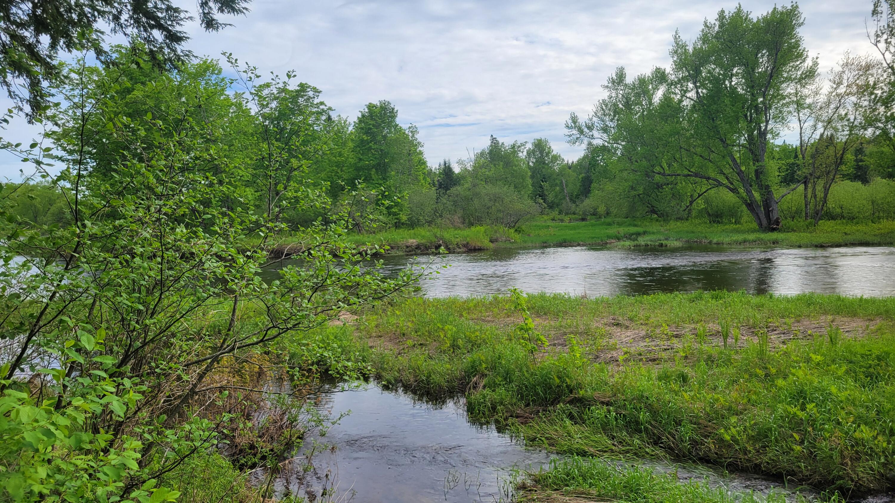 Lot 2 Off Us Rt 2a Road Wytopitlock, ME 04497 - Photo 11 of 26 20250529_162248
