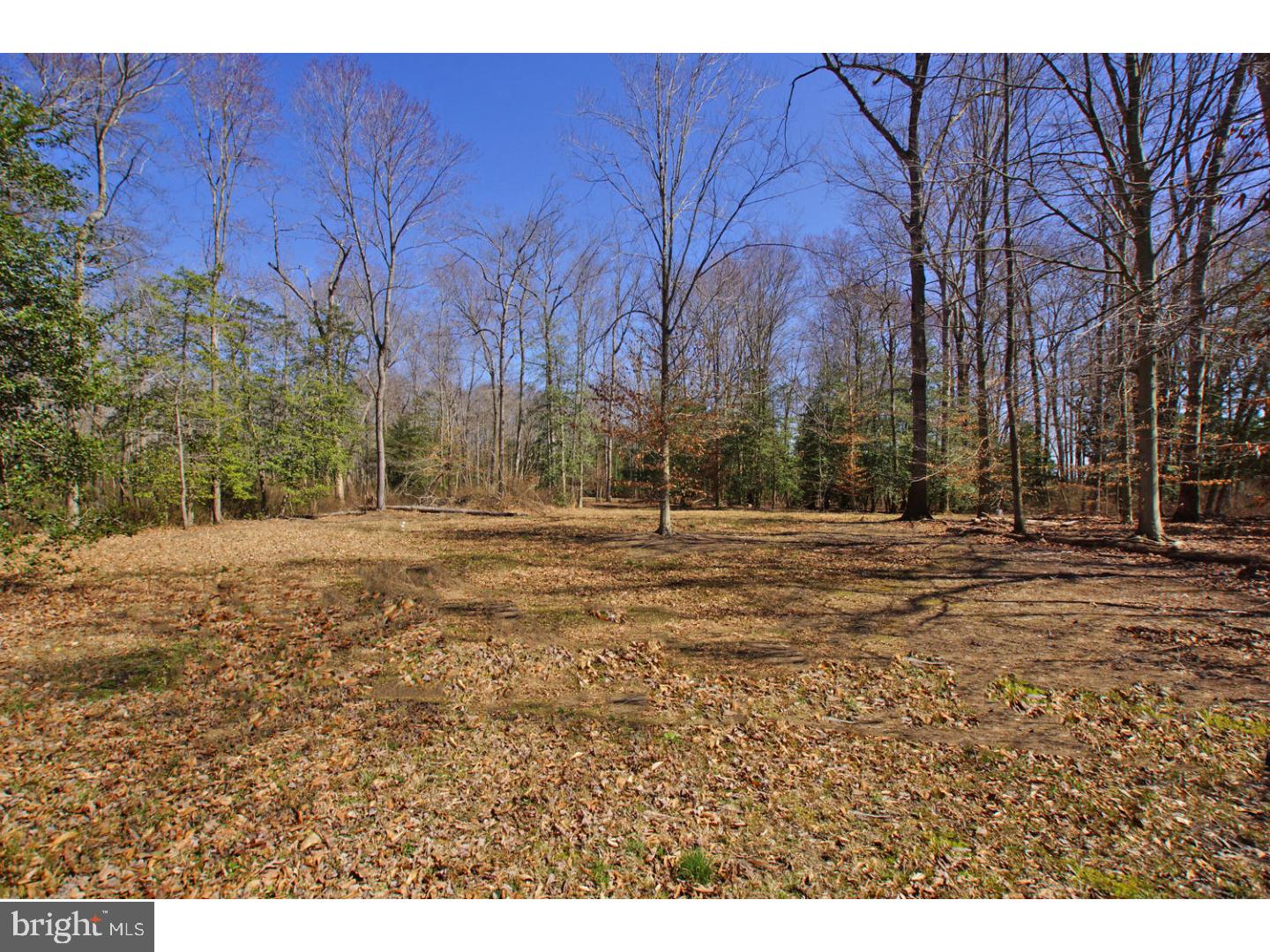 3480 Mahan Corner Road Marydel, DE 19964 - Photo 25 of 25 Gallery Image 25