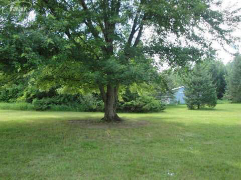 10291 Washburn Road Columbiaville, MI 48421 - Photo 7 of 11 20413291-6.JPG