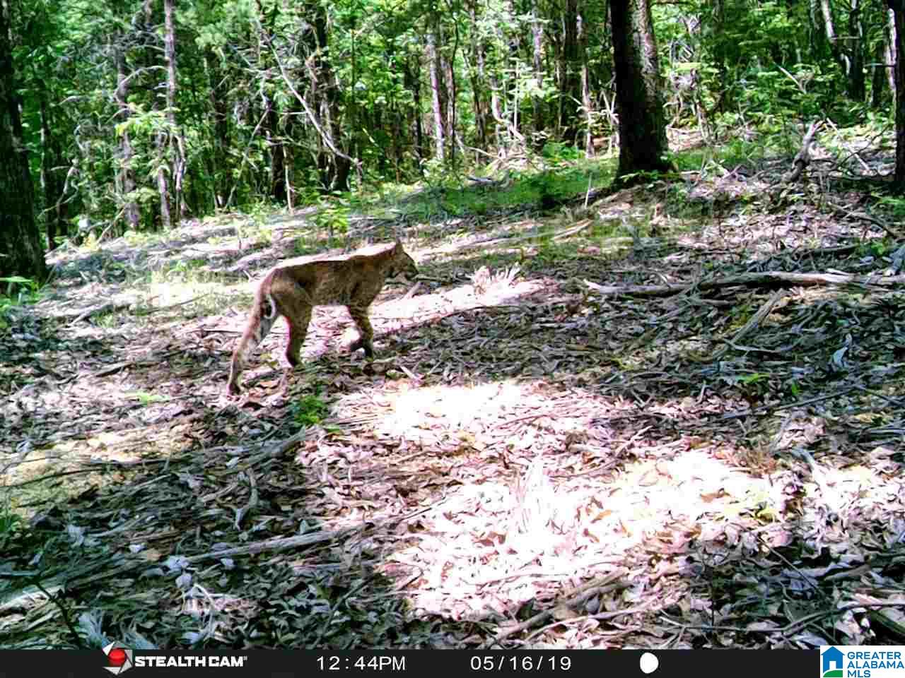 2565 Kentuck Road, Unit 4569 Oxford, AL 36203 - Photo 18 of 46