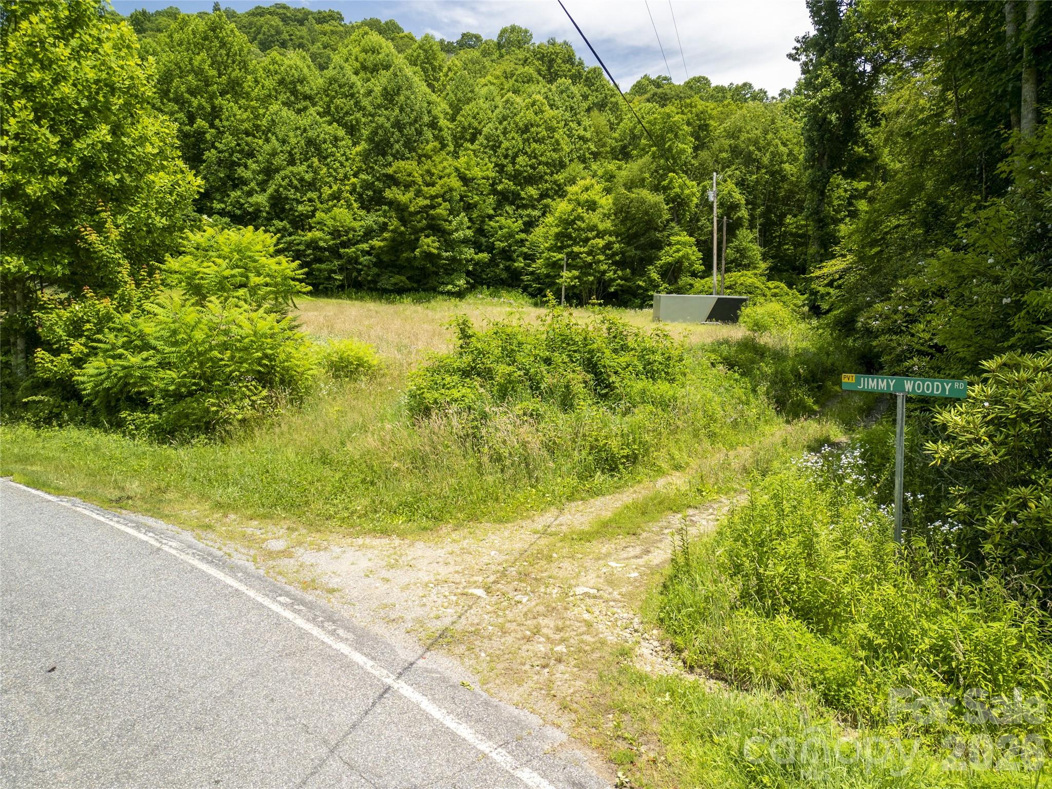 168 Smith Creek Road Mars Hill, NC 28754 - Photo 5 of 46