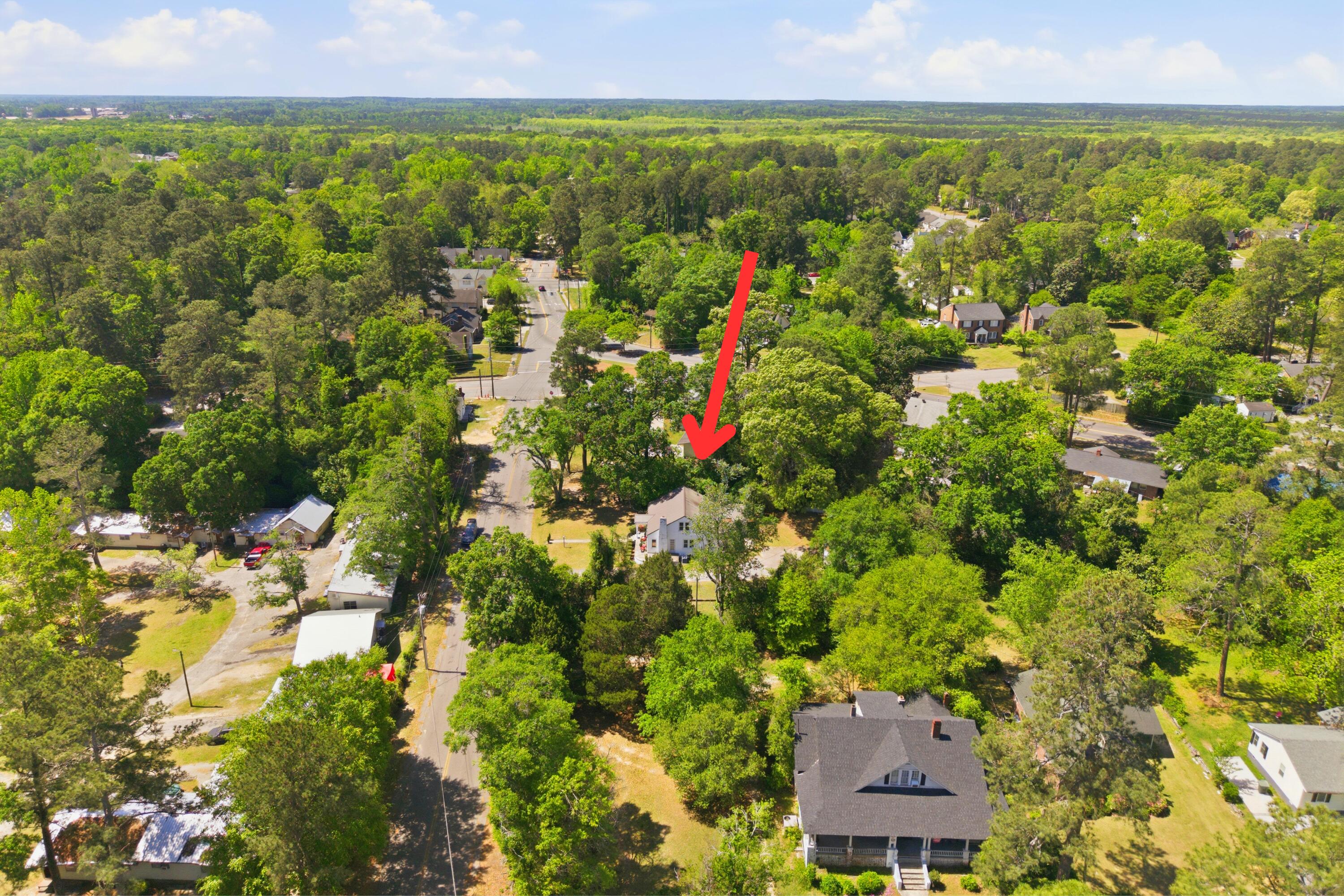 1241 State Rd S-38-244 Orangeburg, SC 29115 - Photo 29 of 33 Untitled design-30