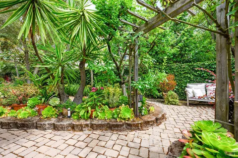 a view of a garden with plants and a bench