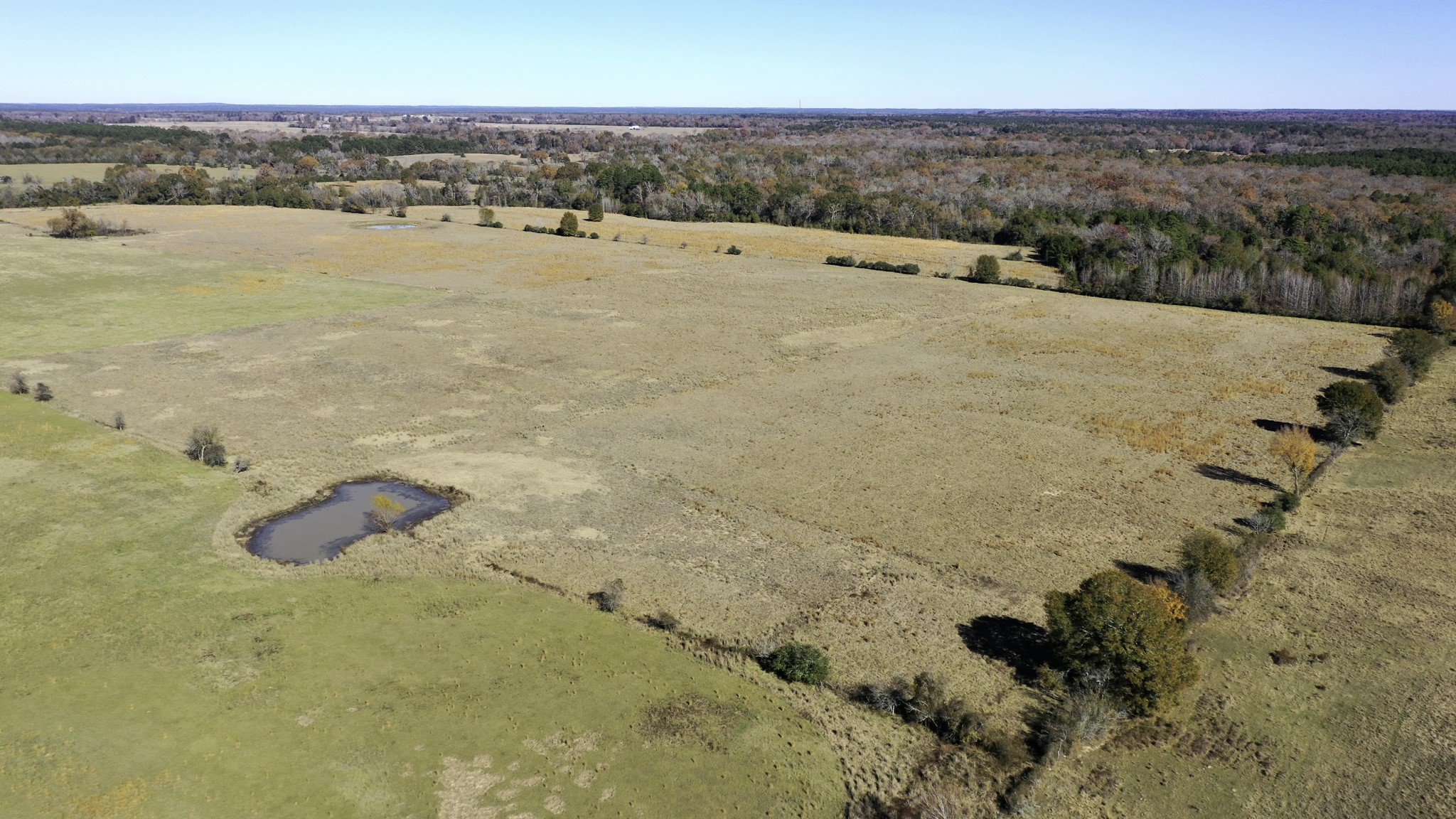 596 County Road 3057 Crockett, TX 75835 - Photo 27 of 38 a view of city and ocean