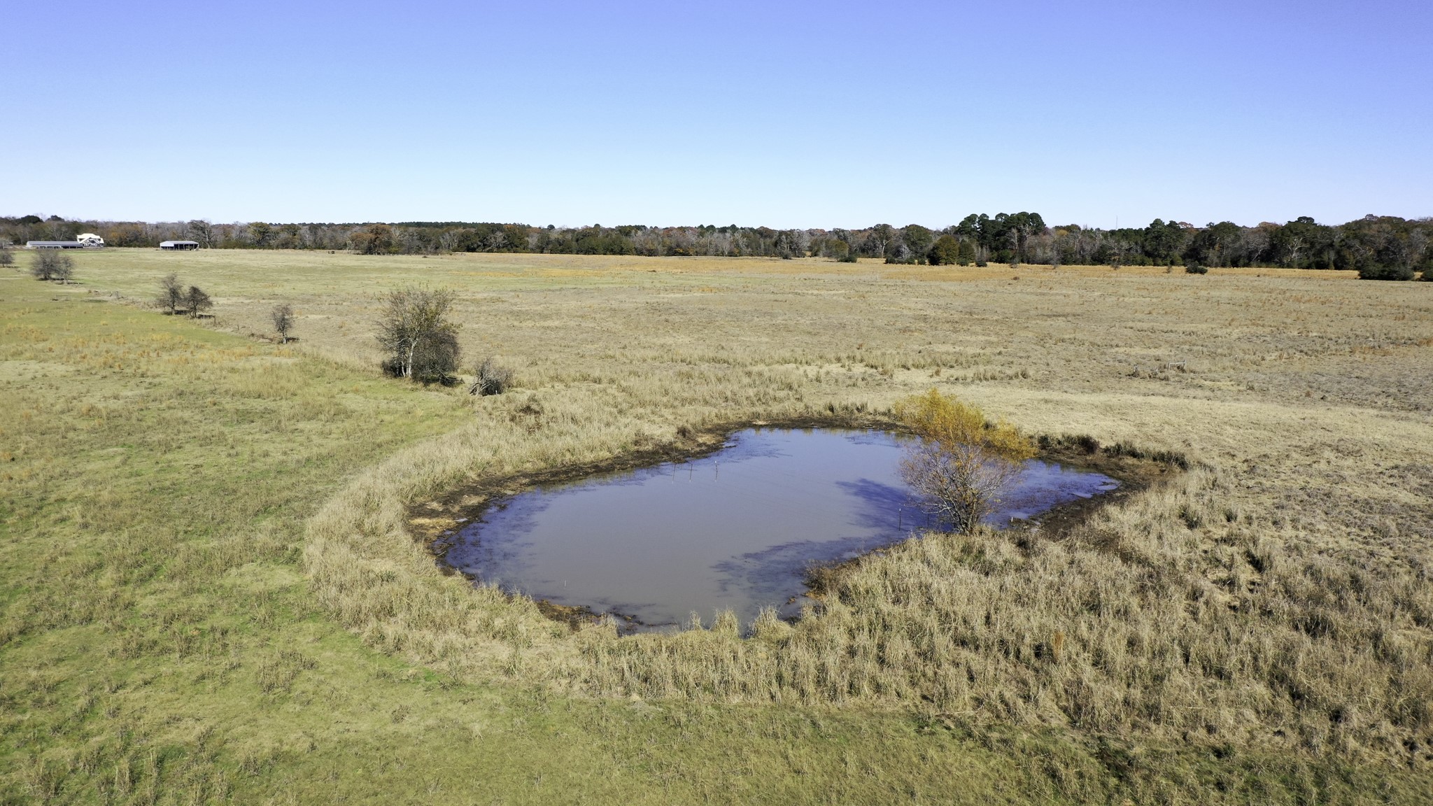 596 County Road 3057 Crockett, TX 75835 - Photo 28 of 38