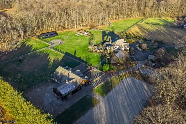 a view of a park with large trees
