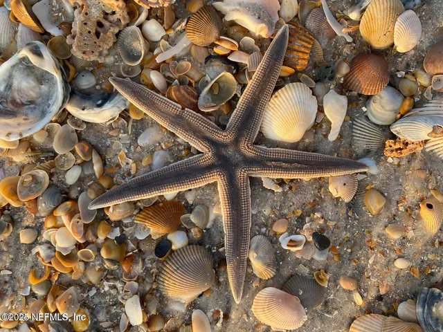 $4,600 | 620 Ponte Vedra Boulevard, Unit E10, Ponte Vedra Beach, FL 32082