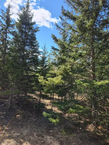 $233,000 | 46.6-acres 46.6-acres Vacant Land Us-131 Boyne Falls, Boyne Falls, MI 49713