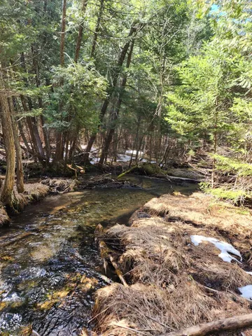 $233,000 | 46.6-acres 46.6-acres Vacant Land Us-131 Boyne Falls, Boyne Falls, MI 49713