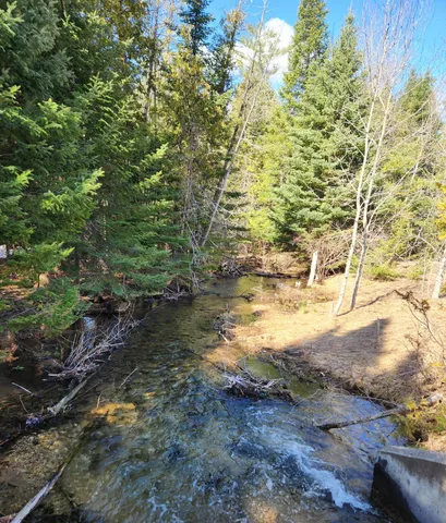 $233,000 | 46.6-acres 46.6-acres Vacant Land Us-131 Boyne Falls, Boyne Falls, MI 49713