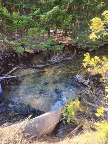 $233,000 | 46.6-acres 46.6-acres Vacant Land Us-131 Boyne Falls, Boyne Falls, MI 49713