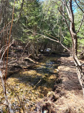 $233,000 | 46.6-acres 46.6-acres Vacant Land Us-131 Boyne Falls, Boyne Falls, MI 49713