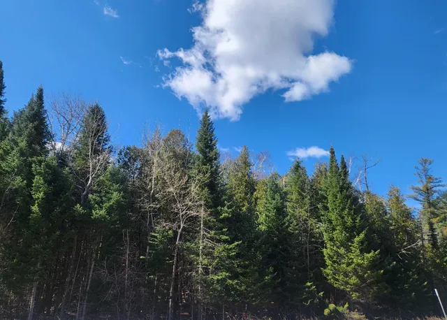 $233,000 | 46.6-acres 46.6-acres Vacant Land Us-131 Boyne Falls, Boyne Falls, MI 49713