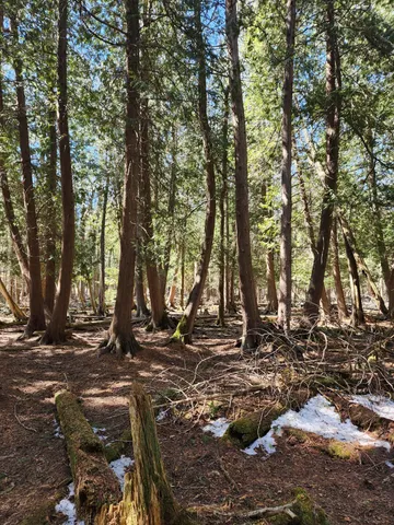 $233,000 | 46.6-acres 46.6-acres Vacant Land Us-131 Boyne Falls, Boyne Falls, MI 49713