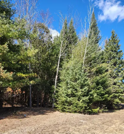 $233,000 | 46.6-acres 46.6-acres Vacant Land Us-131 Boyne Falls, Boyne Falls, MI 49713