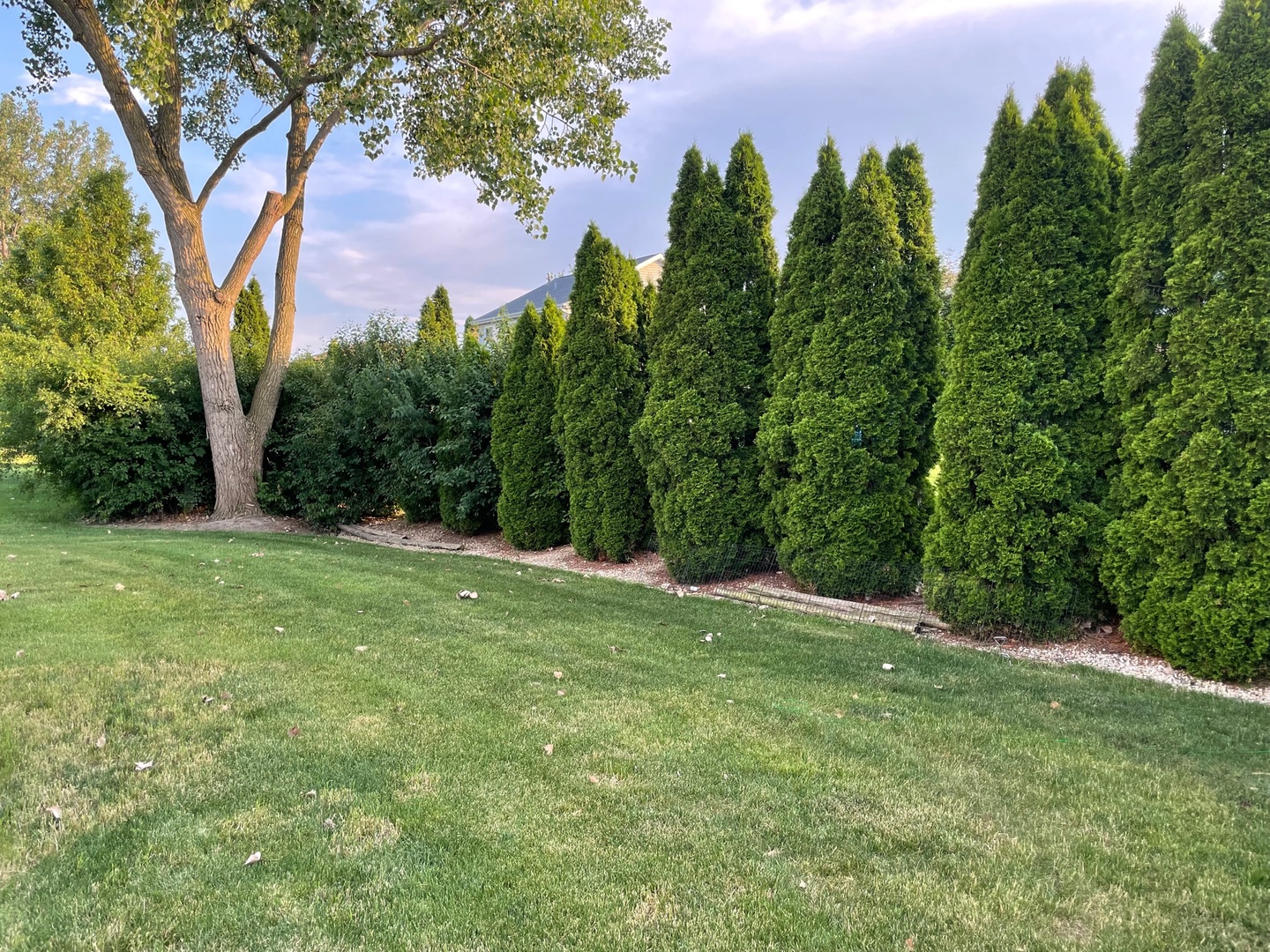 104 Churn Road Matteson, IL 60443 - Photo 5 of 20