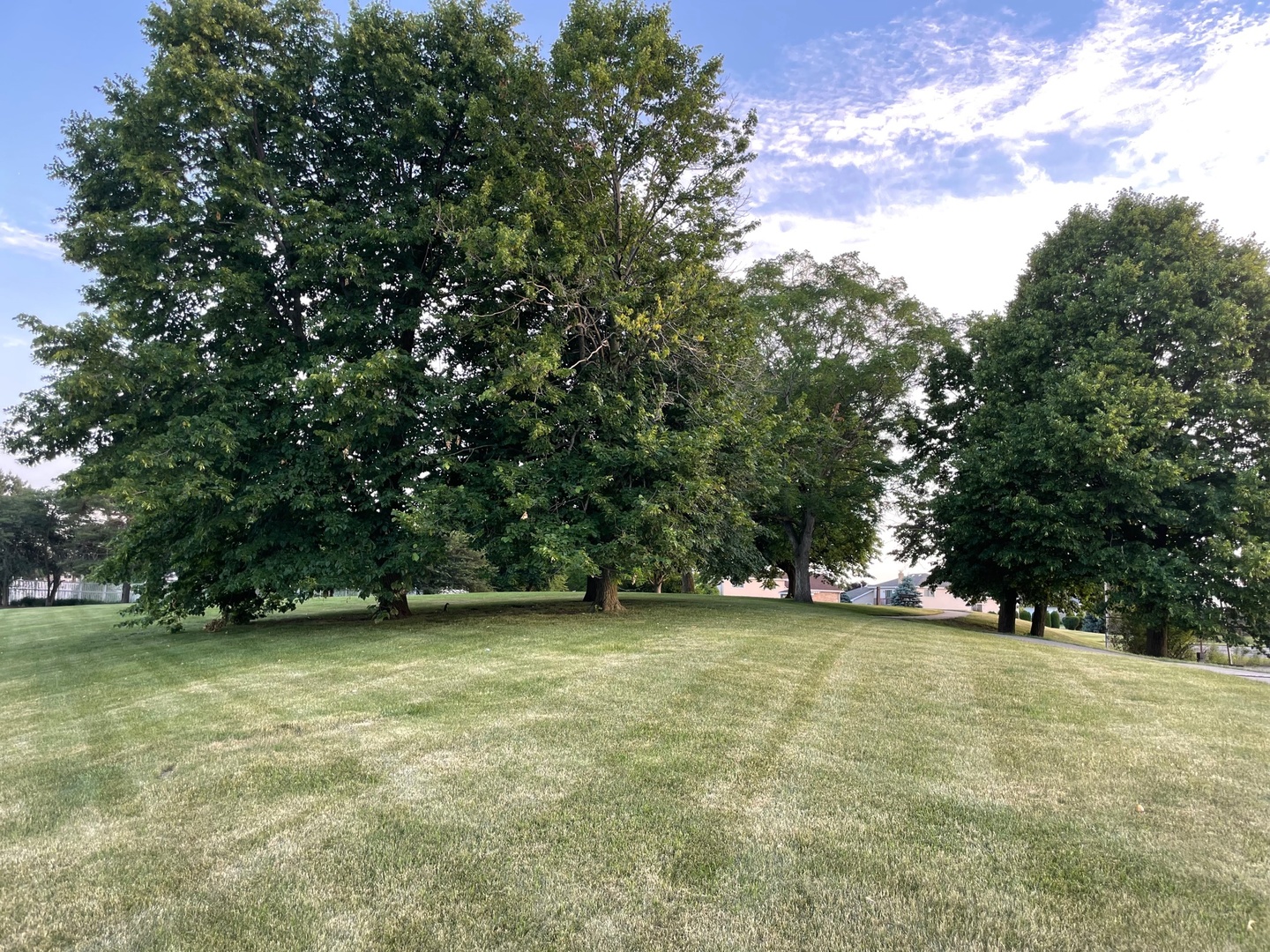 104 Churn Road Matteson, IL 60443 - Photo 6 of 20