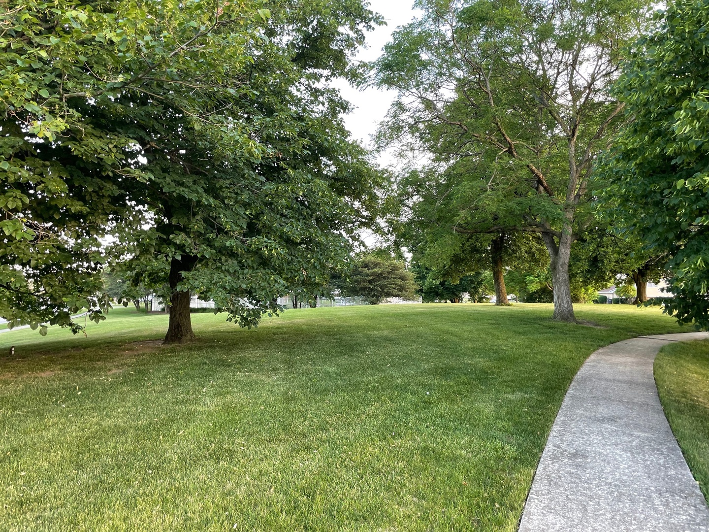 104 Churn Road Matteson, IL 60443 - Photo 8 of 20