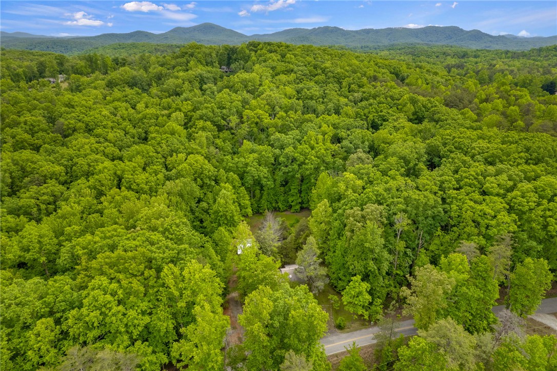 437 West Gate Road Pickens, SC 29671 - Photo 25 of 47 This lush, wooded lot offers peaceful privacy and natural serenity with mountain views.
