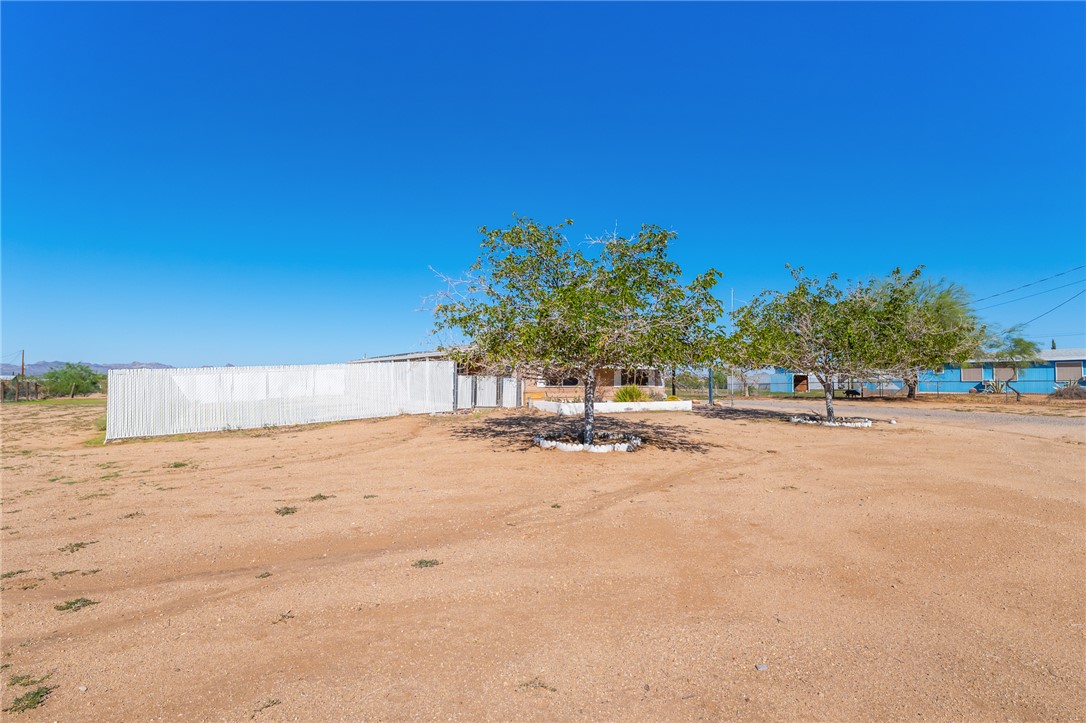 3475 Adobe Road Golden Valley, AZ 86413 - Photo 6 of 71 View of yard