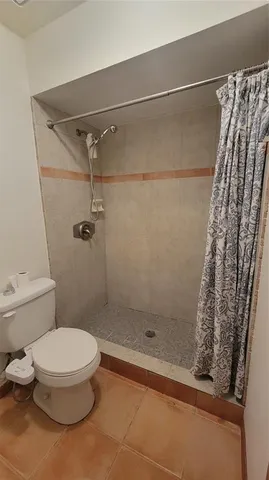 a bathroom with a shower and a toilet