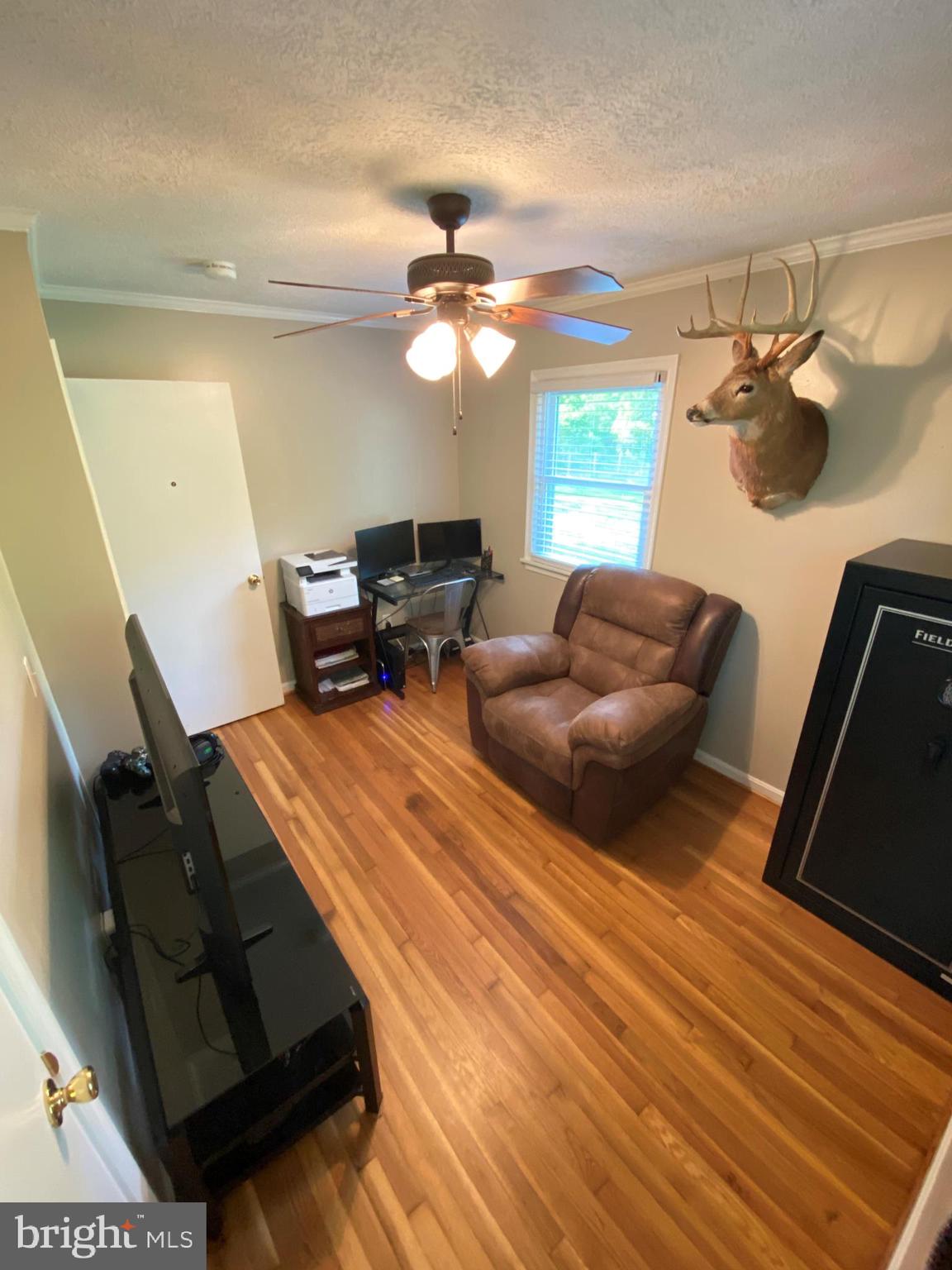 17249 North Merrimac Road Culpeper, VA 22701 - Photo 13 of 15 Bedroom 3