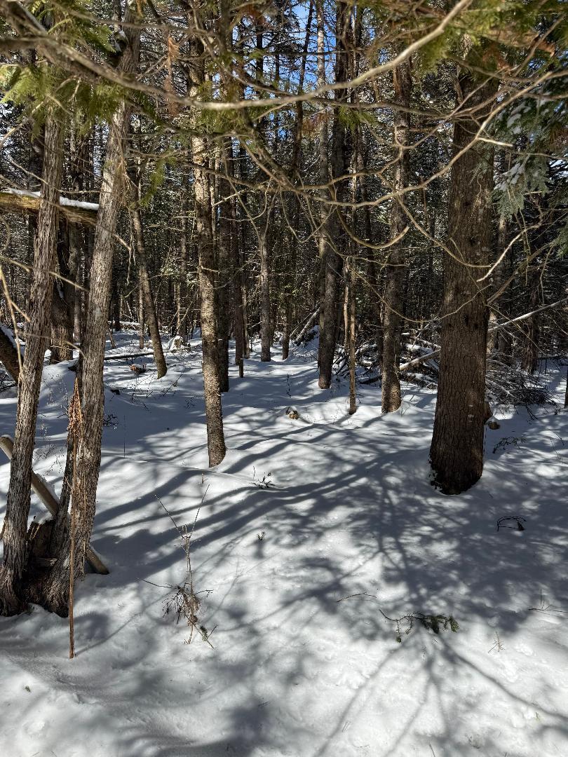 788 Dexter Road Cambridge, ME 04923 - Photo 11 of 27 28