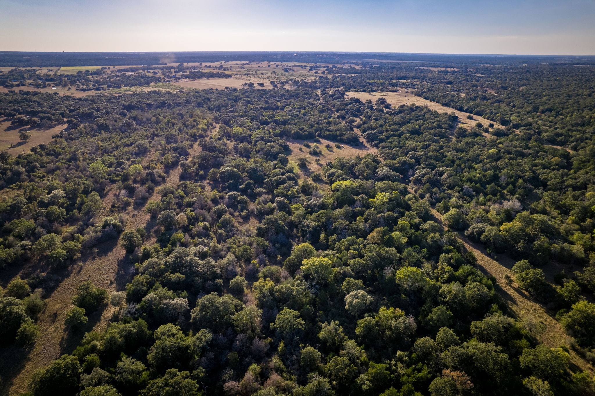 1625 Shaws Bend Road Columbus, TX 78934 - Photo 4 of 12