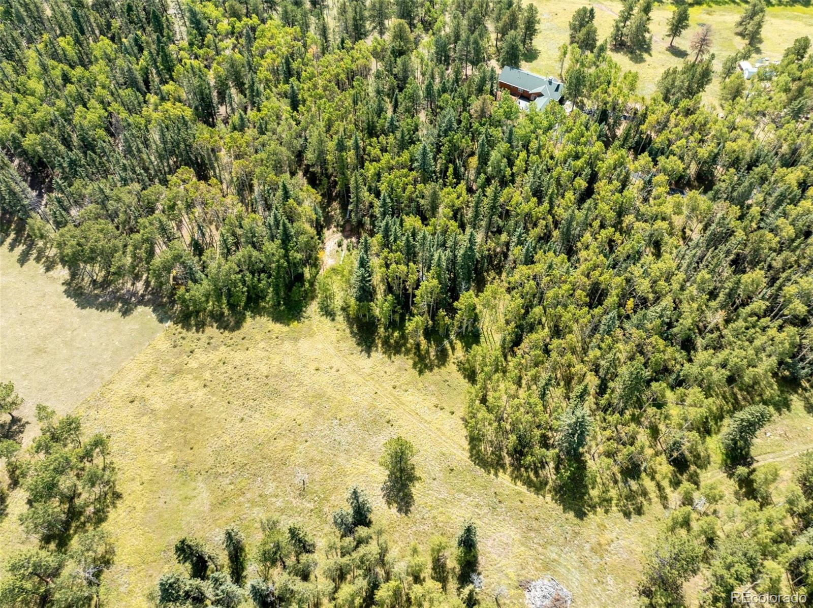 284 County Road 511 Divide, CO 80814 - Photo 40 of 49