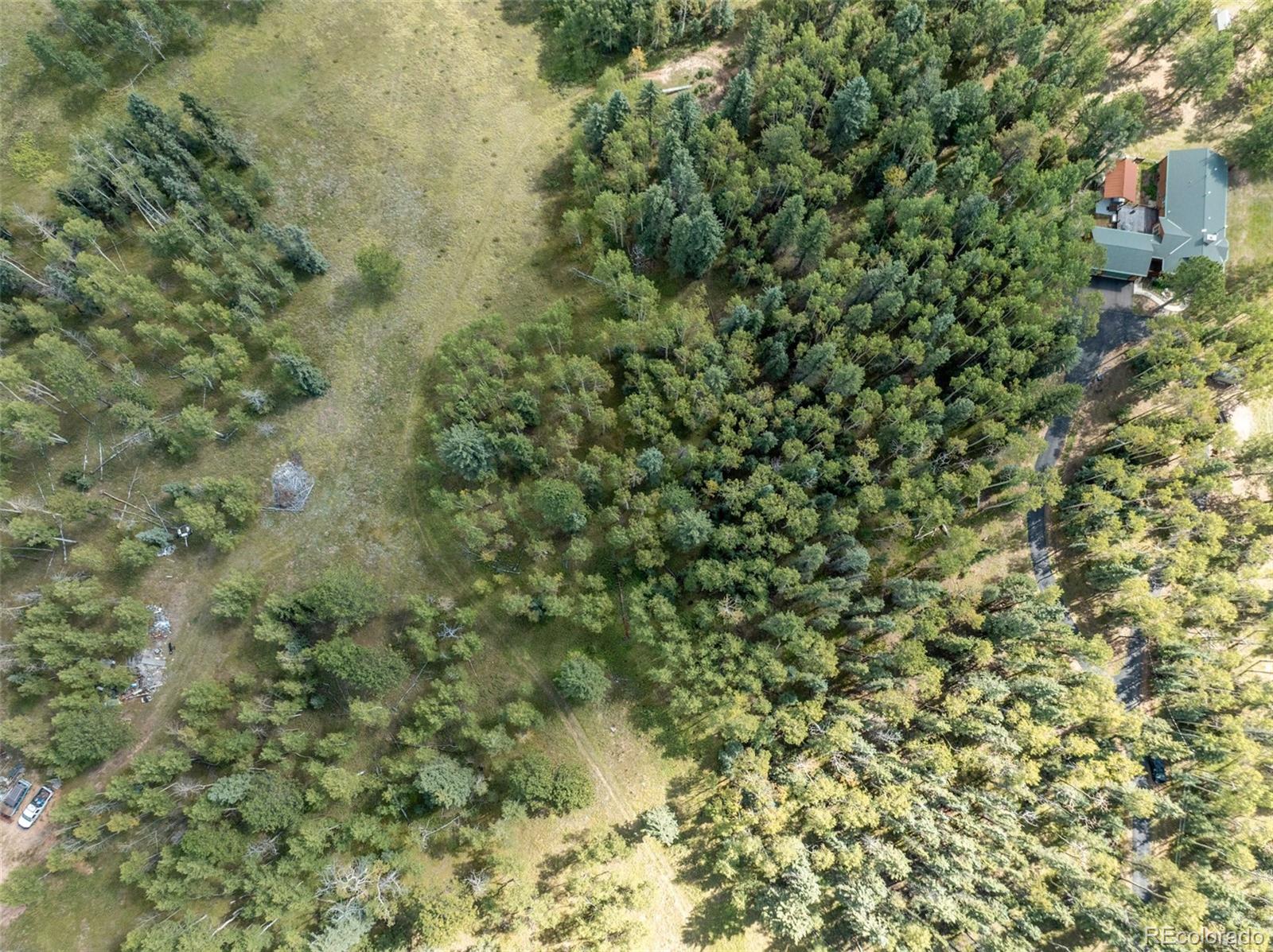 284 County Road 511 Divide, CO 80814 - Photo 41 of 49