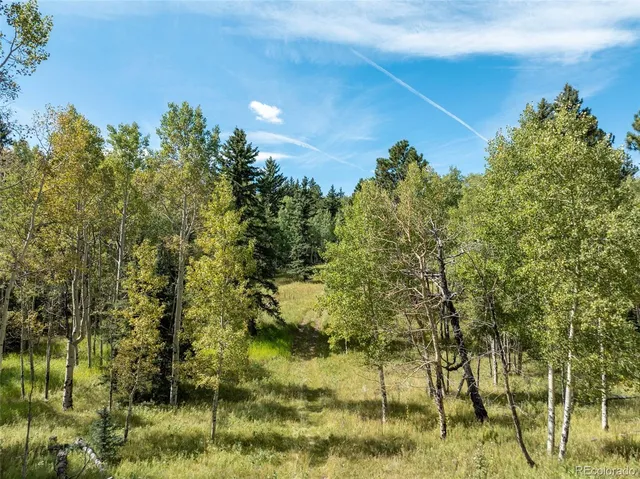 a backyard of a house with lots of green space and trees all around