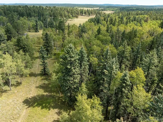 a view of a bunch of trees and flowers