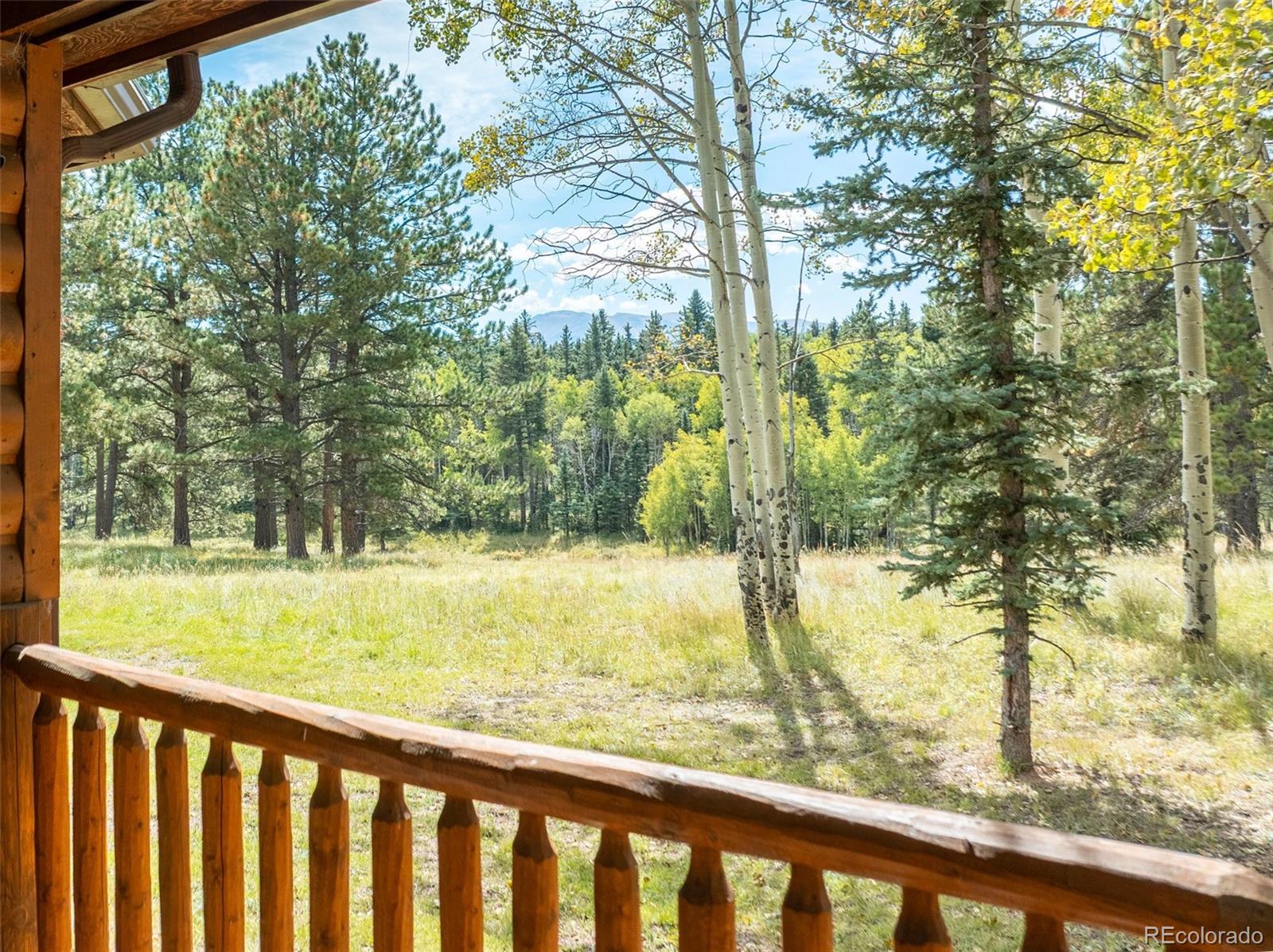 284 County Road 511 Divide, CO 80814 - Photo 5 of 49