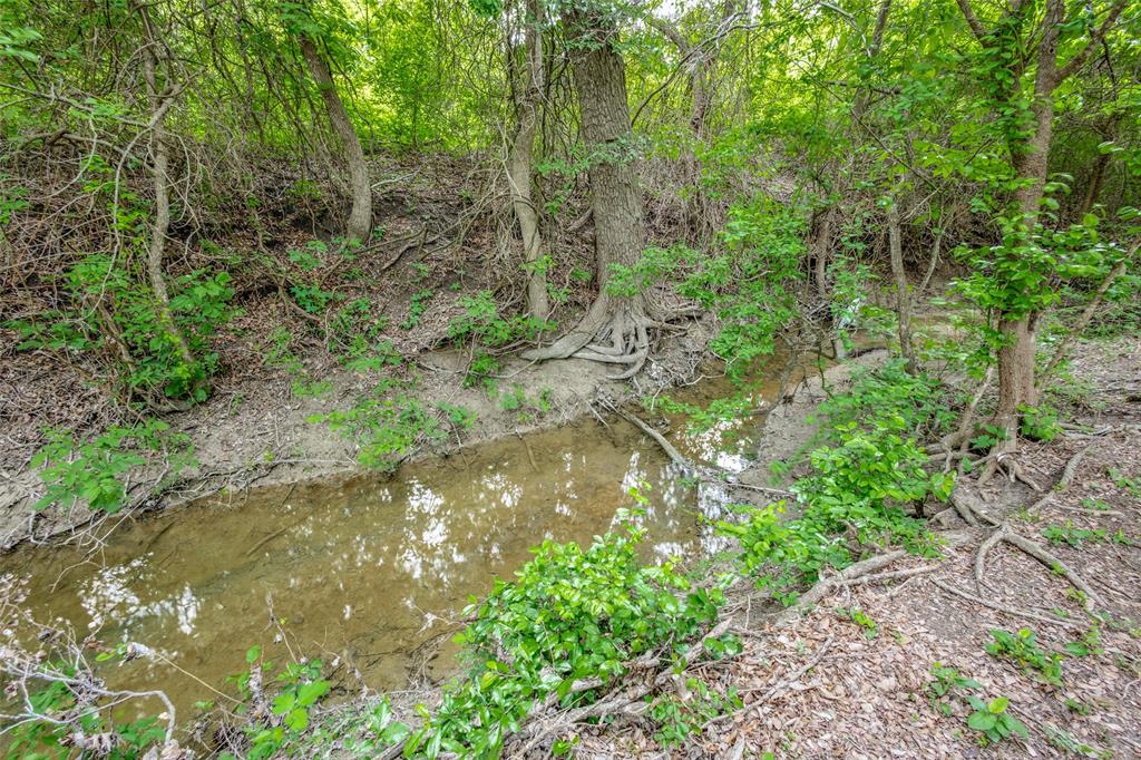 1508 Bear Path Way Gunter, TX 75058 - Photo 21 of 25 a backyard of a house with lots of green space
