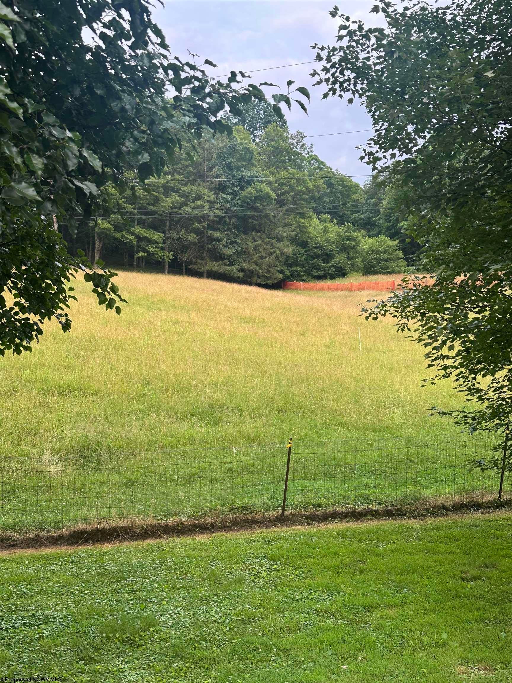 453 Salt Lick Road Mannington, WV 26582 - Photo 47 of 47 Gallery Image 47