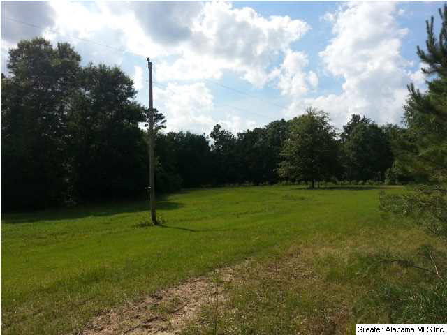 505 County Road, Unit 80 Marbury, AL 36051 - Photo 5 of 13