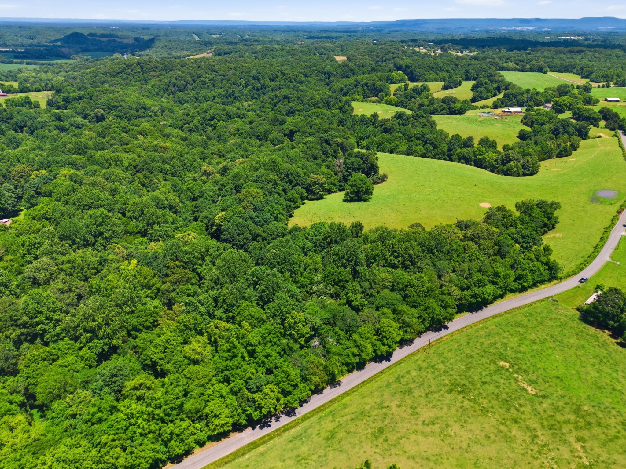 0 Mann Road Flintville, TN 37335 - Photo 4 of 8 a view of a lush green field with lots of plants