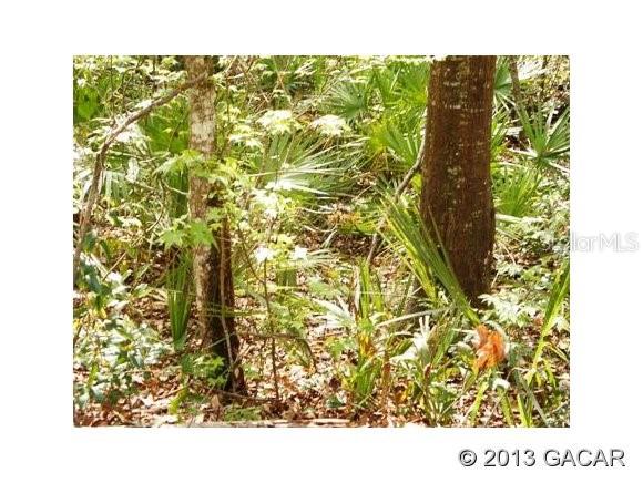 0 Southwest Junction Road Fort White, FL 32038 - Photo 1 of 1 Gallery Image 1