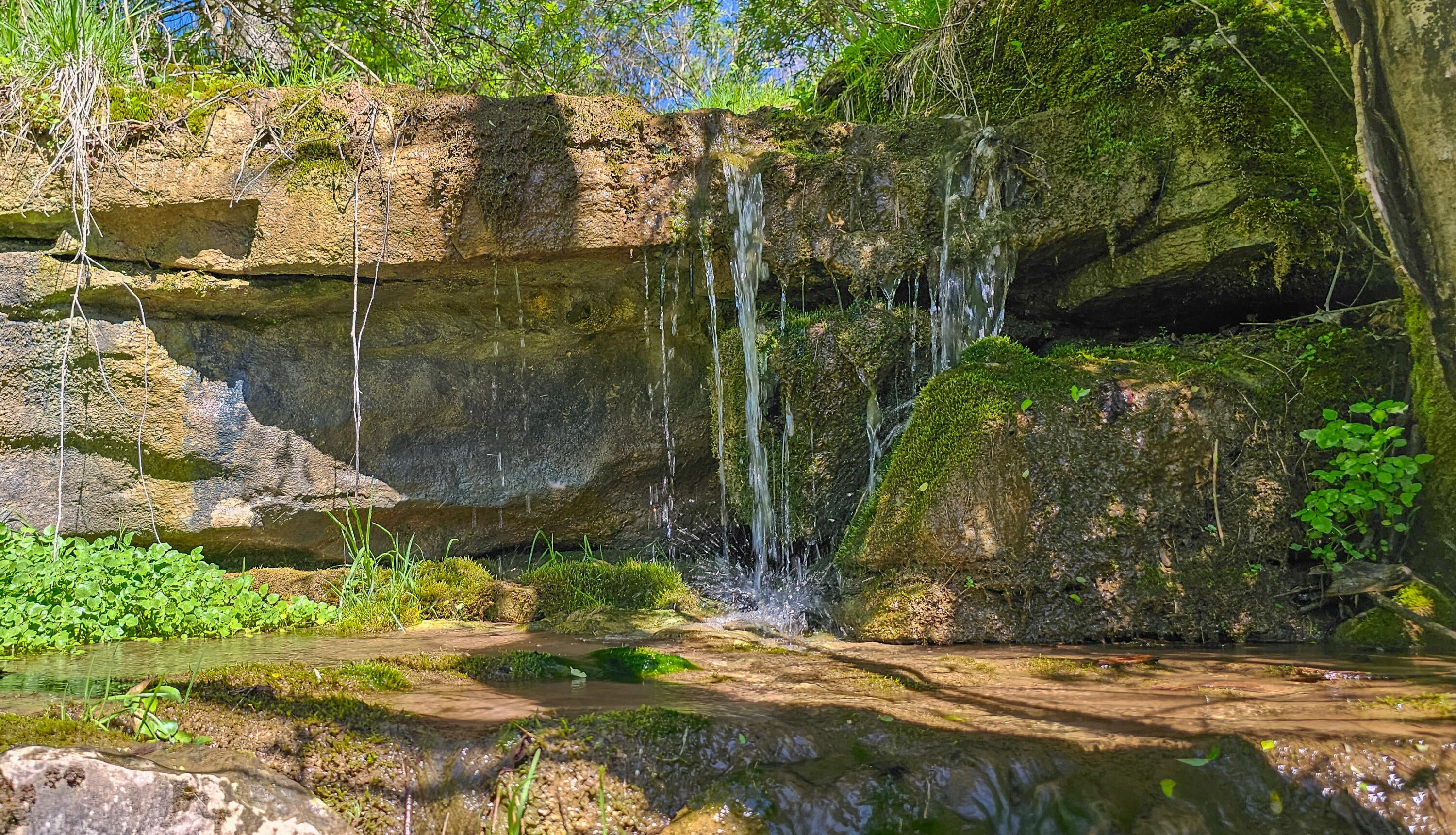 Davis Stuart Road Lewisburg, WV 24901 - Photo 61 of 72 Gallery Image 61