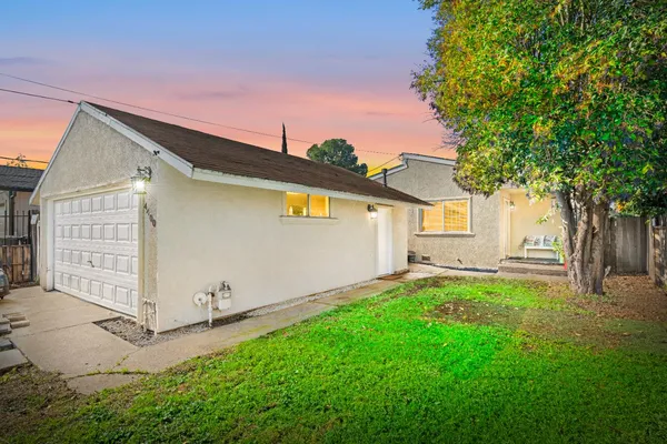 a view of a backyard with a large tree